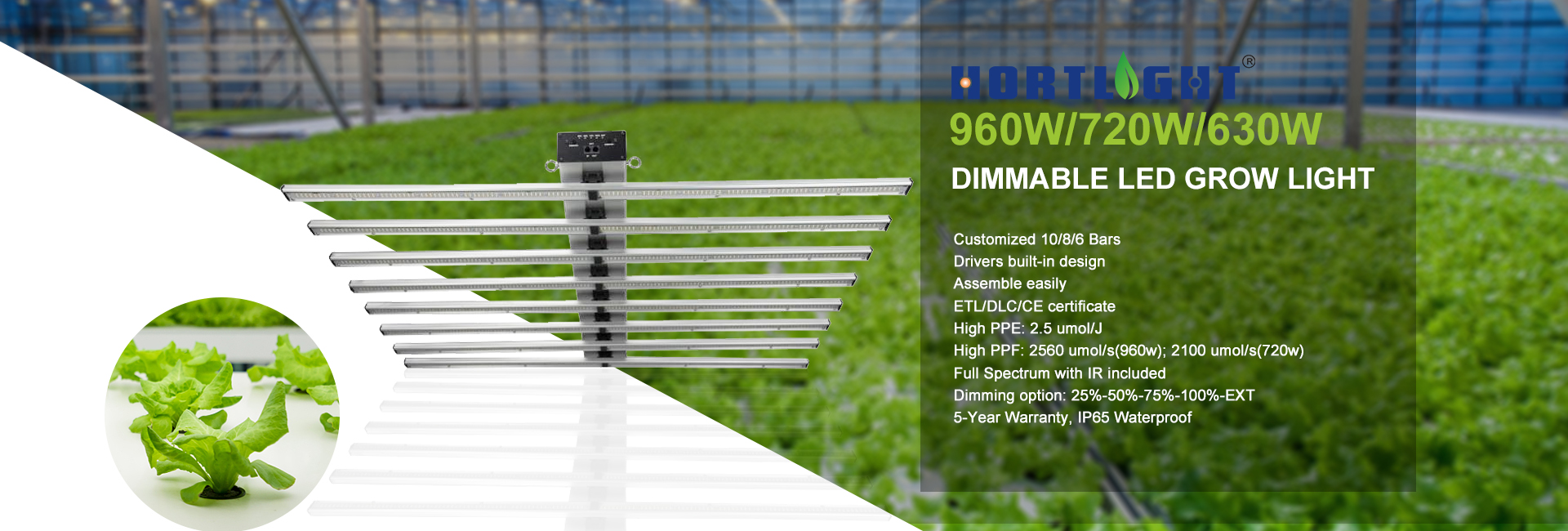 1000w DE Fixture, 315w / 630w CMH Fixture, 600W LED Grow Light